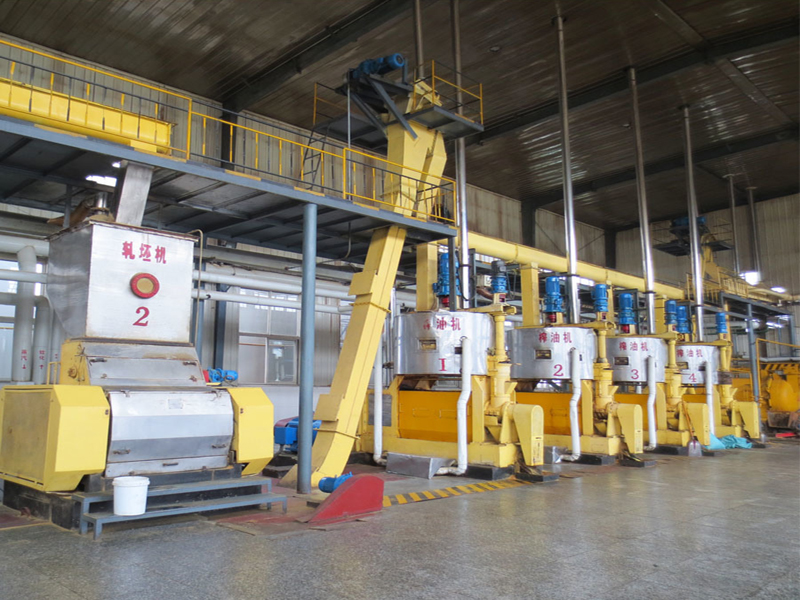 آلات استخراج زيت الجوز في مصر | أفضل خط إنتاج زيت الطعام لمصنع الزيت